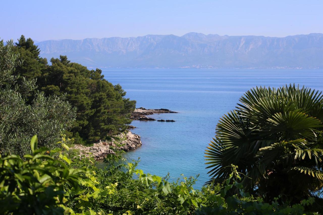 Apartments And Rooms By The Sea Trpanj, Peljesac - 258 外观 照片