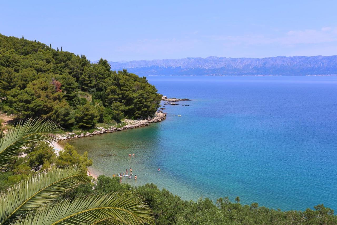 Apartments And Rooms By The Sea Trpanj, Peljesac - 258 外观 照片