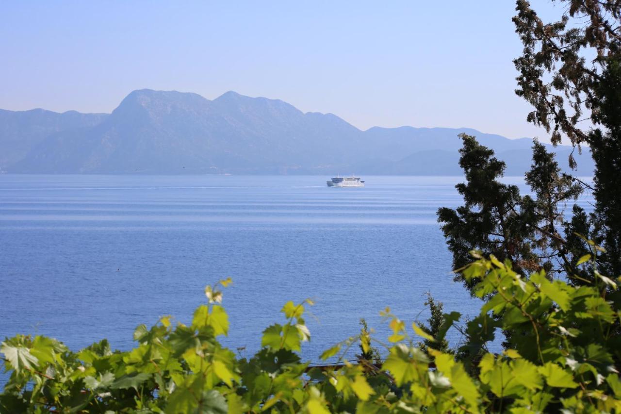 Apartments And Rooms By The Sea Trpanj, Peljesac - 258 外观 照片