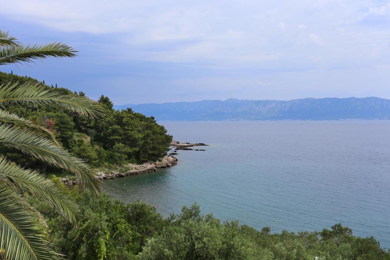 Apartments And Rooms By The Sea Trpanj, Peljesac - 258 外观 照片